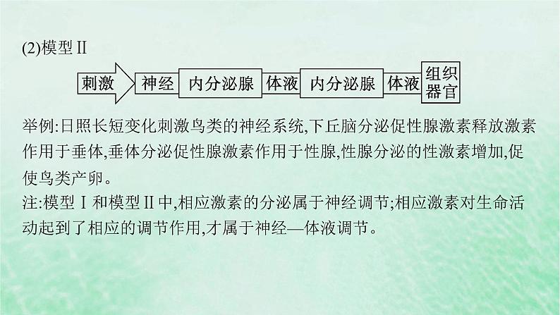 适用于新教材2024版高考生物一轮总复习第8单元稳态与调节专题精研课12下丘脑及生命活动调节方式课件新人教版第4页