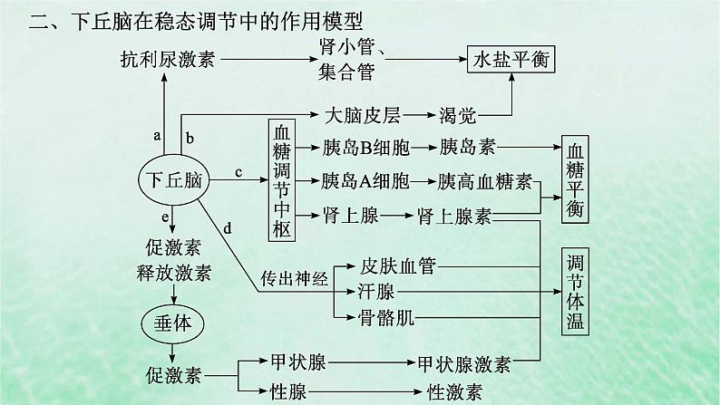 适用于新教材2024版高考生物一轮总复习第8单元稳态与调节专题精研课12下丘脑及生命活动调节方式课件新人教版第5页