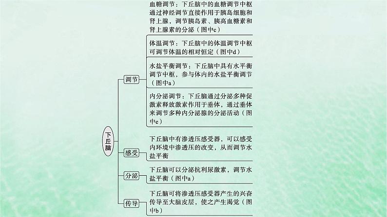 适用于新教材2024版高考生物一轮总复习第8单元稳态与调节专题精研课12下丘脑及生命活动调节方式课件新人教版第7页