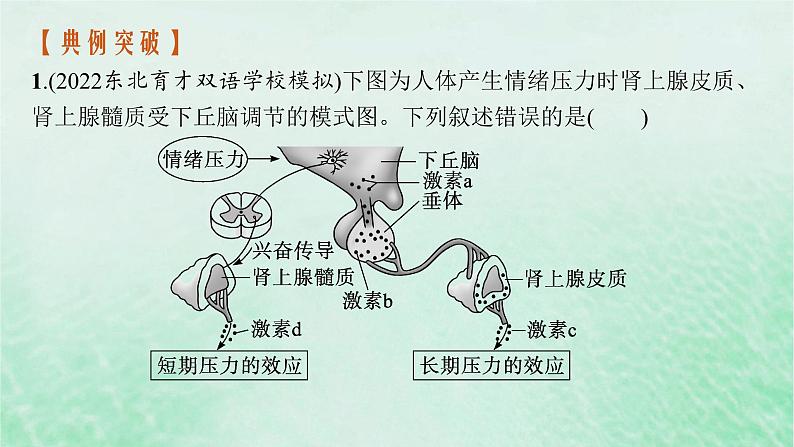 适用于新教材2024版高考生物一轮总复习第8单元稳态与调节专题精研课12下丘脑及生命活动调节方式课件新人教版第8页