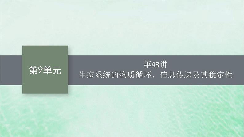 适用于新教材2024版高考生物一轮总复习第9单元生物与环境第43讲生态系统的物质循环信息传递及其稳定性课件新人教版01