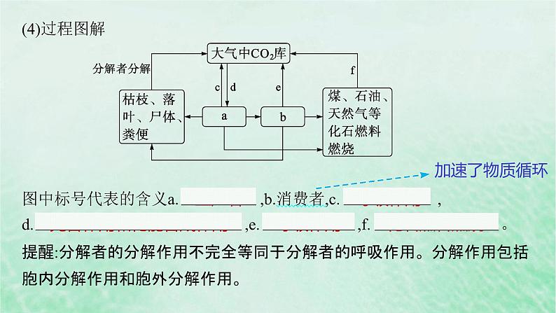 适用于新教材2024版高考生物一轮总复习第9单元生物与环境第43讲生态系统的物质循环信息传递及其稳定性课件新人教版07