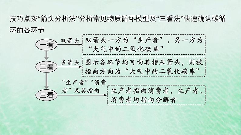 适用于新教材2024版高考生物一轮总复习第9单元生物与环境第43讲生态系统的物质循环信息传递及其稳定性课件新人教版08