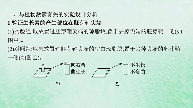 适用于新教材2024版高考生物一轮总复习第8单元稳态与调节专题精研课13与植物激素相关的实验设计课件新人教版02