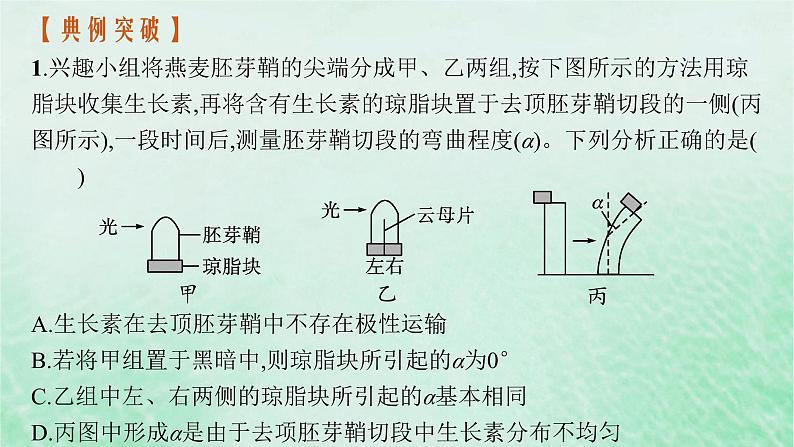 适用于新教材2024版高考生物一轮总复习第8单元稳态与调节专题精研课13与植物激素相关的实验设计课件新人教版05