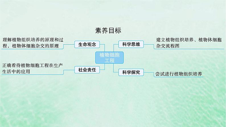 适用于新教材2024版高考生物一轮总复习第10单元生物技术与工程第47讲植物细胞工程课件新人教版02