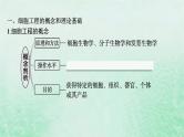 适用于新教材2024版高考生物一轮总复习第10单元生物技术与工程第47讲植物细胞工程课件新人教版