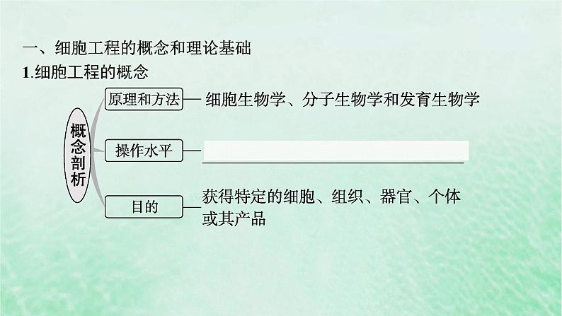 适用于新教材2024版高考生物一轮总复习第10单元生物技术与工程第47讲植物细胞工程课件新人教版05