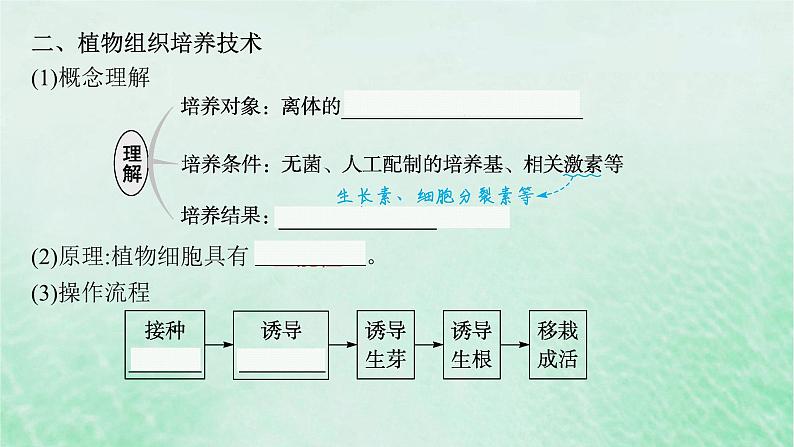 适用于新教材2024版高考生物一轮总复习第10单元生物技术与工程第47讲植物细胞工程课件新人教版08