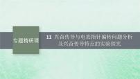 适用于新教材2024版高考生物一轮总复习第8单元稳态与调节专题精研课11兴奋传导与电表指针偏转问题分析及兴奋传导特点的实验探究课件新人教版