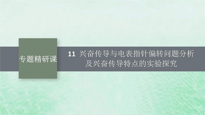 适用于新教材2024版高考生物一轮总复习第8单元稳态与调节专题精研课11兴奋传导与电表指针偏转问题分析及兴奋传导特点的实验探究课件新人教版01