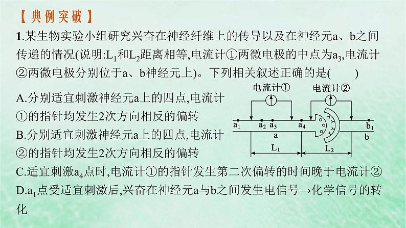 适用于新教材2024版高考生物一轮总复习第8单元稳态与调节专题精研课11兴奋传导与电表指针偏转问题分析及兴奋传导特点的实验探究课件新人教版06