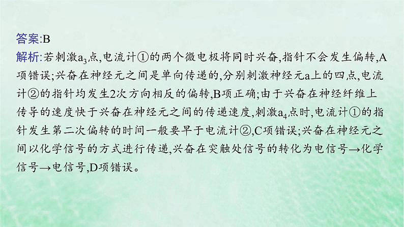 适用于新教材2024版高考生物一轮总复习第8单元稳态与调节专题精研课11兴奋传导与电表指针偏转问题分析及兴奋传导特点的实验探究课件新人教版07