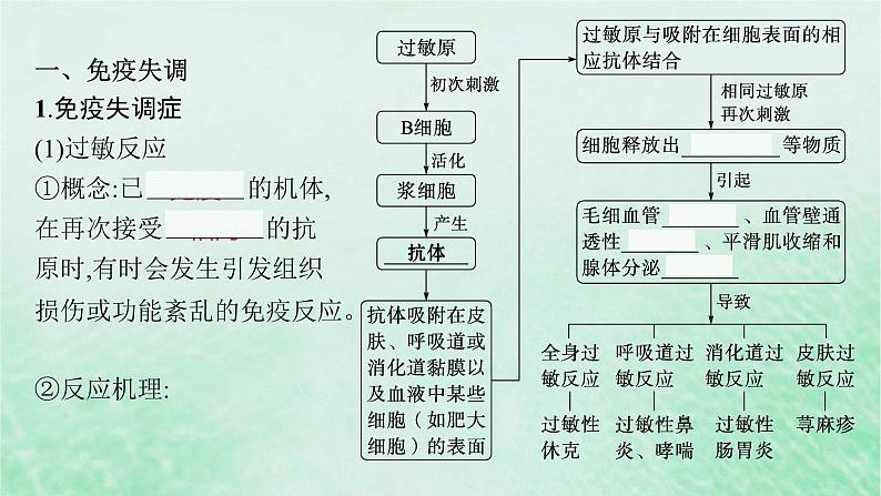 适用于新教材2024版高考生物一轮总复习第8单元稳态与调节第35讲免疫失调和免疫学的应用课件新人教版05