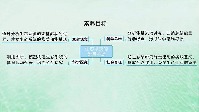 适用于新教材2024版高考生物一轮总复习第9单元生物与环境第42讲生态系统的能量流动课件新人教版02