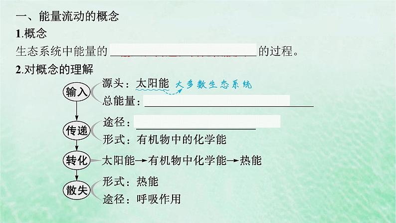 适用于新教材2024版高考生物一轮总复习第9单元生物与环境第42讲生态系统的能量流动课件新人教版05