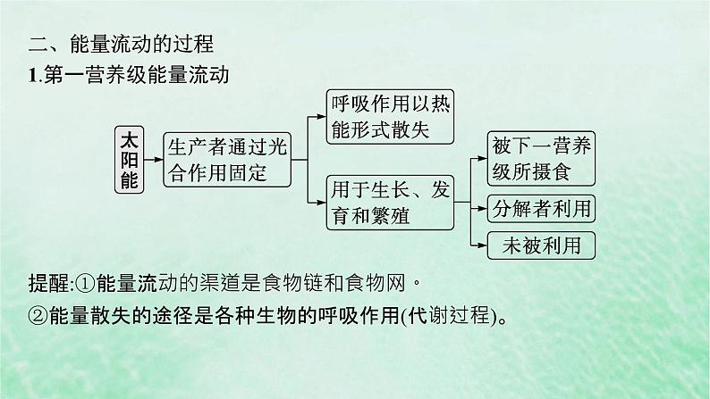 适用于新教材2024版高考生物一轮总复习第9单元生物与环境第42讲生态系统的能量流动课件新人教版06