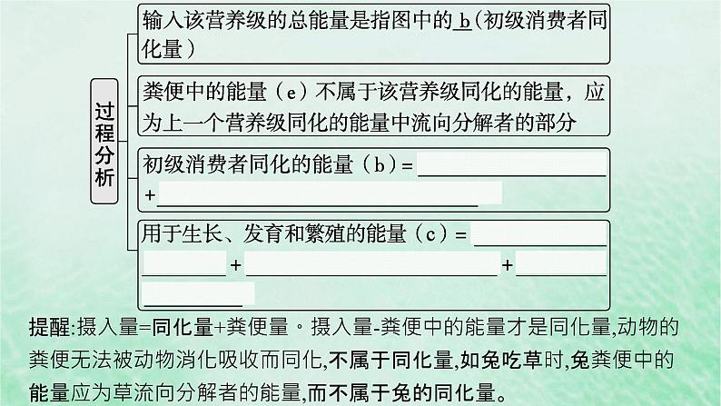 适用于新教材2024版高考生物一轮总复习第9单元生物与环境第42讲生态系统的能量流动课件新人教版08