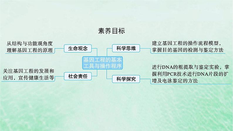 适用于新教材2024版高考生物一轮总复习第10单元生物技术与工程第50讲基因工程的基本工具与操作程序课件新人教版第2页