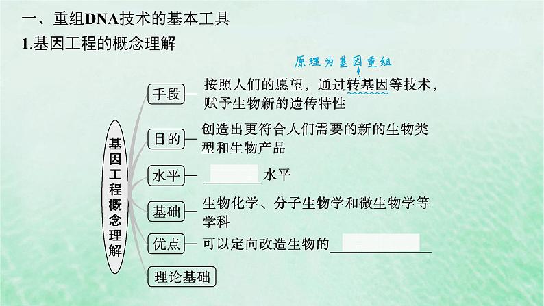 适用于新教材2024版高考生物一轮总复习第10单元生物技术与工程第50讲基因工程的基本工具与操作程序课件新人教版第5页