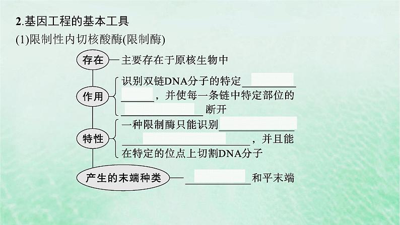 适用于新教材2024版高考生物一轮总复习第10单元生物技术与工程第50讲基因工程的基本工具与操作程序课件新人教版第7页