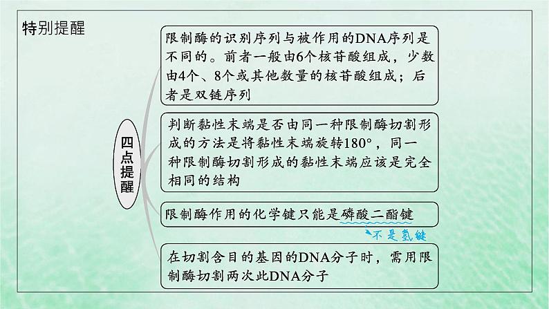 适用于新教材2024版高考生物一轮总复习第10单元生物技术与工程第50讲基因工程的基本工具与操作程序课件新人教版第8页