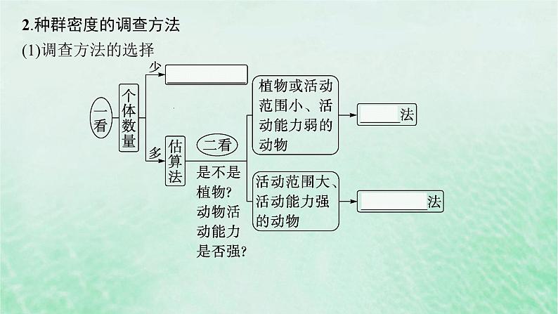 适用于新教材2024版高考生物一轮总复习第9单元生物与环境第39讲种群及其动态课件新人教版07