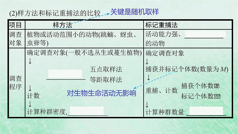 适用于新教材2024版高考生物一轮总复习第9单元生物与环境第39讲种群及其动态课件新人教版08