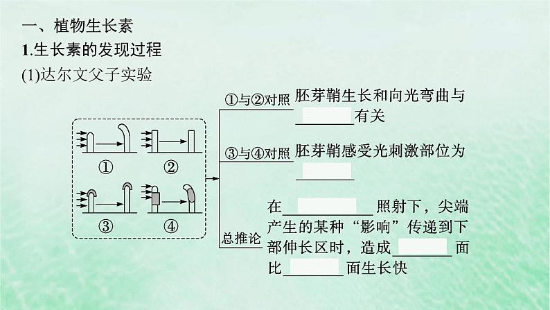 适用于新教材2024版高考生物一轮总复习第8单元稳态与调节第36讲植物生长素及其生理作用课件新人教版05