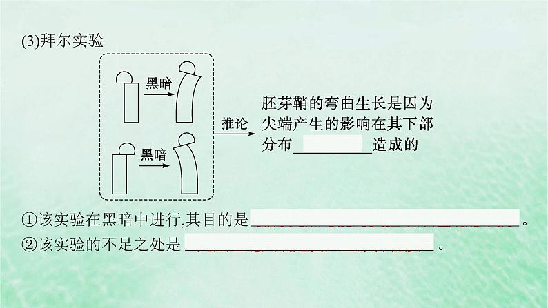 适用于新教材2024版高考生物一轮总复习第8单元稳态与调节第36讲植物生长素及其生理作用课件新人教版07