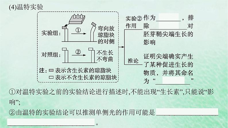 适用于新教材2024版高考生物一轮总复习第8单元稳态与调节第36讲植物生长素及其生理作用课件新人教版08