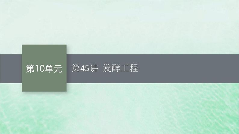 适用于新教材2024版高考生物一轮总复习第10单元生物技术与工程第45讲发酵工程课件新人教版01