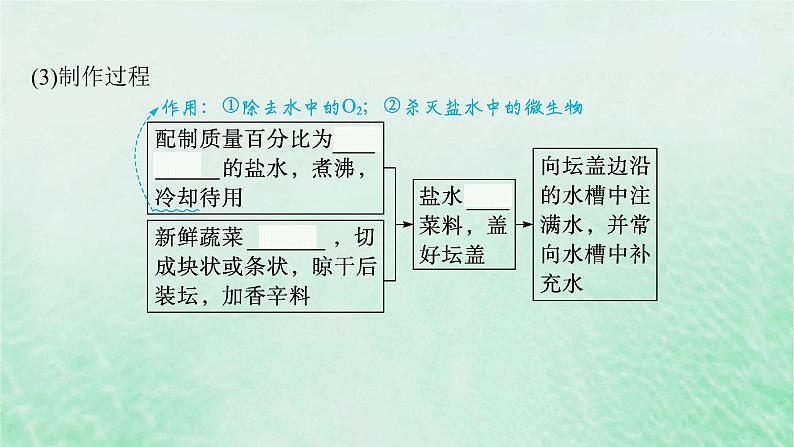 适用于新教材2024版高考生物一轮总复习第10单元生物技术与工程第45讲发酵工程课件新人教版08