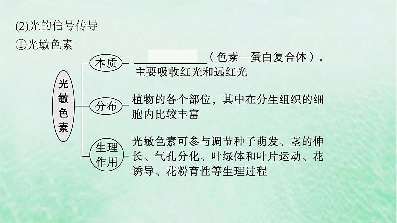 适用于新教材2024版高考生物一轮总复习第8单元稳态与调节第38讲环境因素参与调节植物的生命活动课件新人教版06