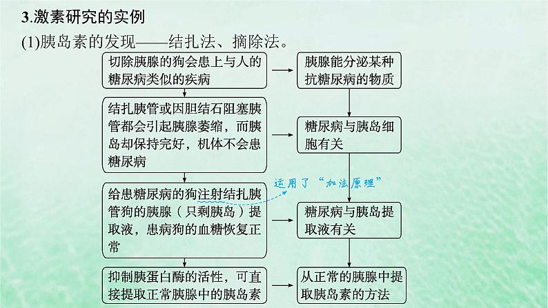 适用于新教材2024版高考生物一轮总复习第8单元稳态与调节第32讲体液调节课件新人教版07