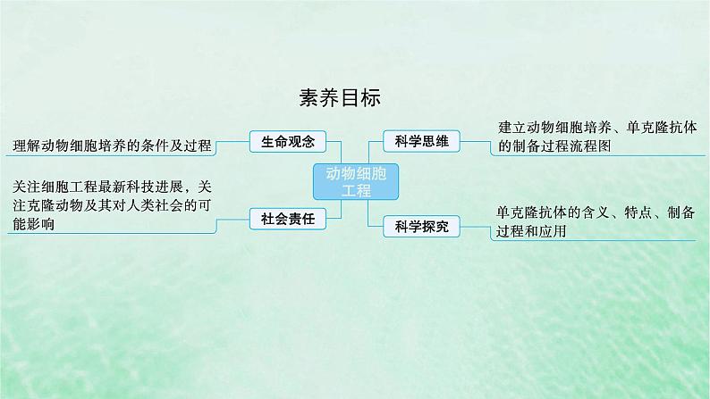 适用于新教材2024版高考生物一轮总复习第10单元生物技术与工程第48讲动物细胞工程课件新人教版02