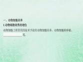 适用于新教材2024版高考生物一轮总复习第10单元生物技术与工程第48讲动物细胞工程课件新人教版