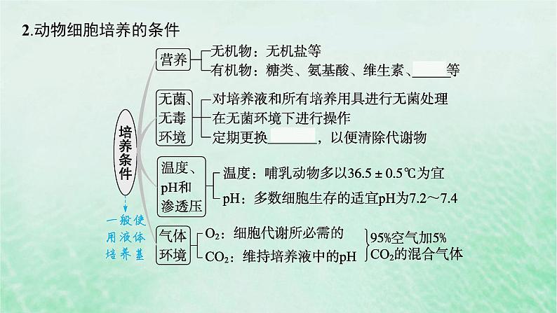 适用于新教材2024版高考生物一轮总复习第10单元生物技术与工程第48讲动物细胞工程课件新人教版06