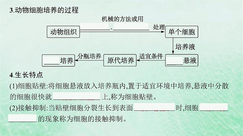 适用于新教材2024版高考生物一轮总复习第10单元生物技术与工程第48讲动物细胞工程课件新人教版07