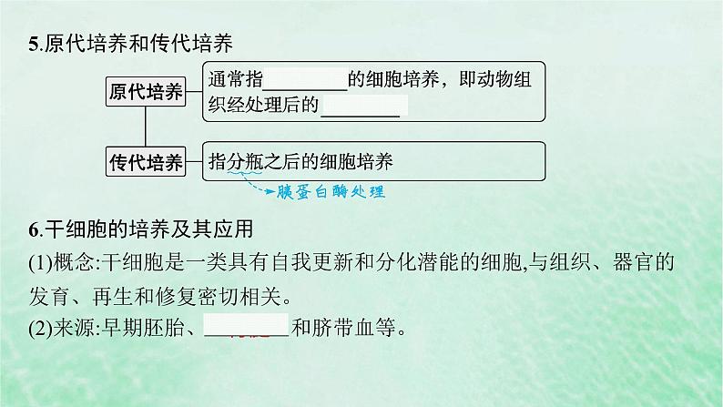 适用于新教材2024版高考生物一轮总复习第10单元生物技术与工程第48讲动物细胞工程课件新人教版08