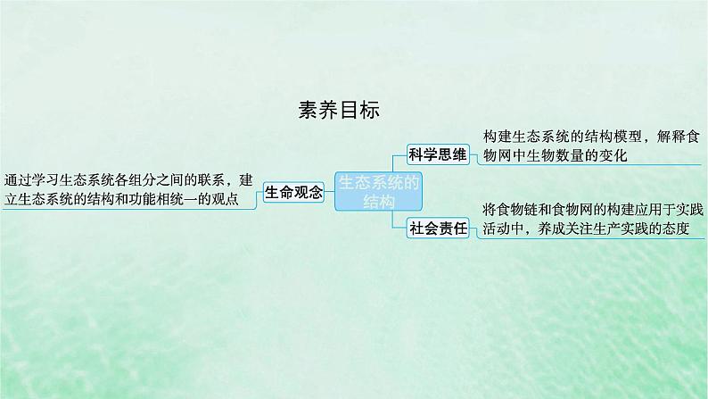 适用于新教材2024版高考生物一轮总复习第9单元生物与环境第41讲生态系统的结构课件新人教版第2页