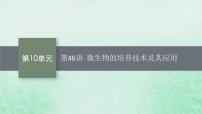 适用于新教材2024版高考生物一轮总复习第10单元生物技术与工程第46讲微生物的培养技术及其应用课件新人教版