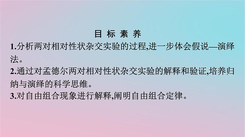 新教材2023年高中生物第1章遗传因子的发现第2节孟德尔的豌豆杂交实验二第1课时孟德尔两对相对性状的杂交实验对自由组合现象的解释和验证课件新人教版必修2第2页