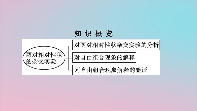 新教材2023年高中生物第1章遗传因子的发现第2节孟德尔的豌豆杂交实验二第1课时孟德尔两对相对性状的杂交实验对自由组合现象的解释和验证课件新人教版必修2第3页