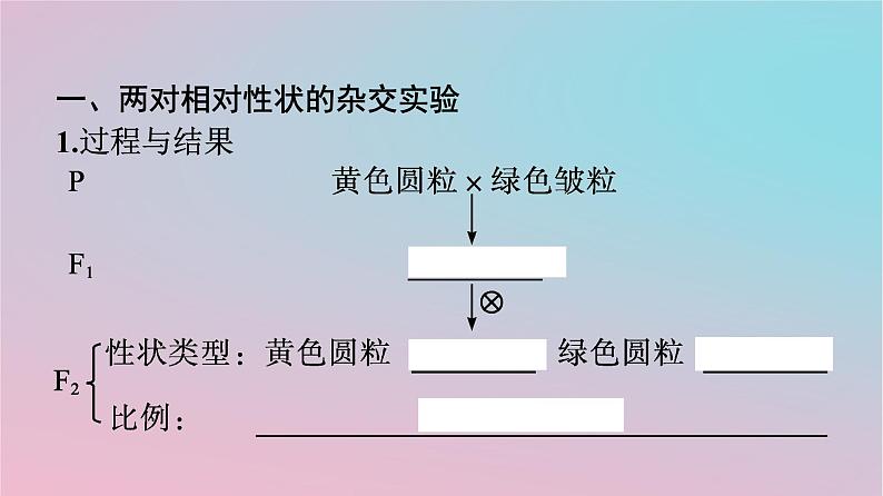 新教材2023年高中生物第1章遗传因子的发现第2节孟德尔的豌豆杂交实验二第1课时孟德尔两对相对性状的杂交实验对自由组合现象的解释和验证课件新人教版必修2第4页