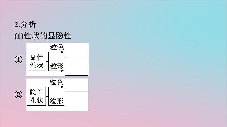 新教材2023年高中生物第1章遗传因子的发现第2节孟德尔的豌豆杂交实验二第1课时孟德尔两对相对性状的杂交实验对自由组合现象的解释和验证课件新人教版必修2第5页