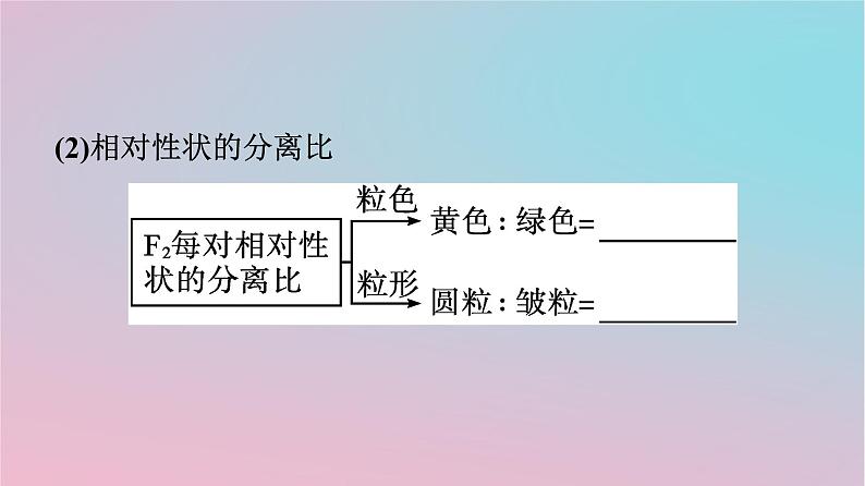 新教材2023年高中生物第1章遗传因子的发现第2节孟德尔的豌豆杂交实验二第1课时孟德尔两对相对性状的杂交实验对自由组合现象的解释和验证课件新人教版必修2第6页