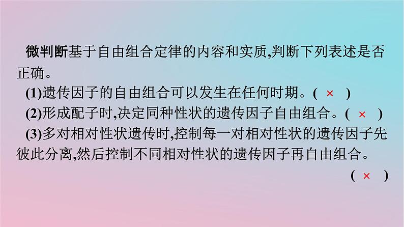 新教材2023年高中生物第1章遗传因子的发现第2节孟德尔的豌豆杂交实验二第2课时孟德尔遗传规律的再发现及孟德尔遗传规律的应用课件新人教版必修205