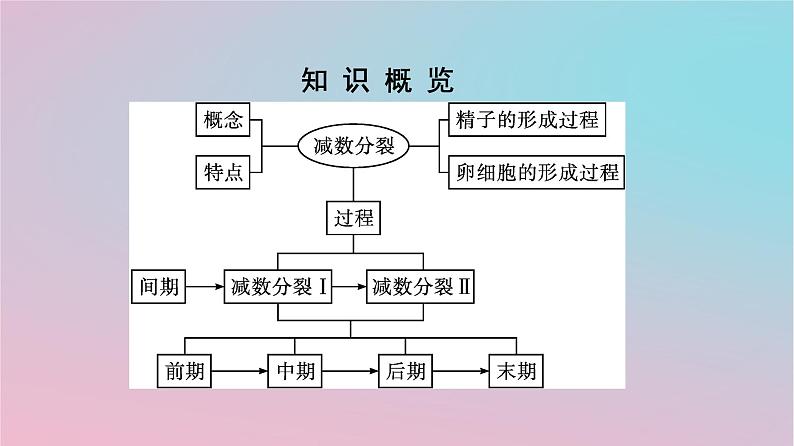 新教材2023年高中生物第2章基因和染色体的关系第1节减数分裂和受精作用第1课时减数分裂课件新人教版必修203