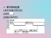 新教材2023年高中生物第2章基因和染色体的关系第1节减数分裂和受精作用第1课时减数分裂课件新人教版必修2